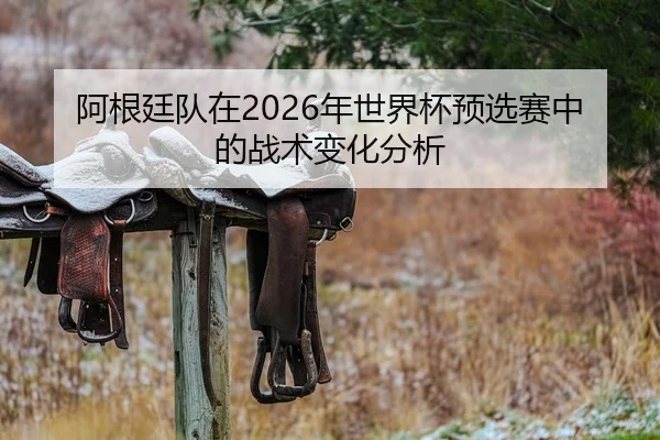 阿根廷队在2026年世界杯预选赛中的战术变化分析