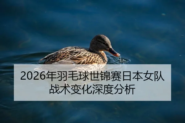 2026年羽毛球世锦赛日本女队战术变化深度分析