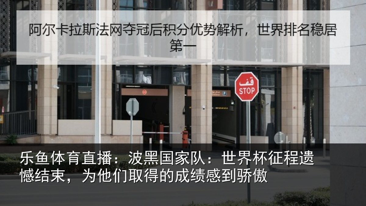 乐鱼体育直播：波黑国家队：世界杯征程遗憾结束，为他们取得的成绩感到骄傲