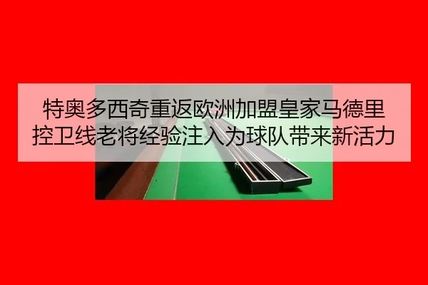 特奥多西奇重返欧洲加盟皇家马德里 控卫线老将经验注入为球队带来新活力